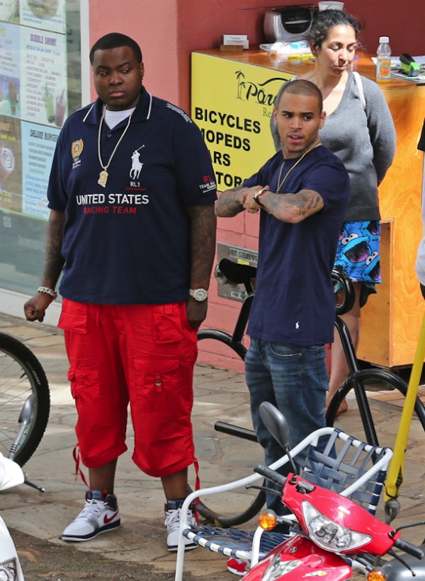 Sean kingston and Chris Brown