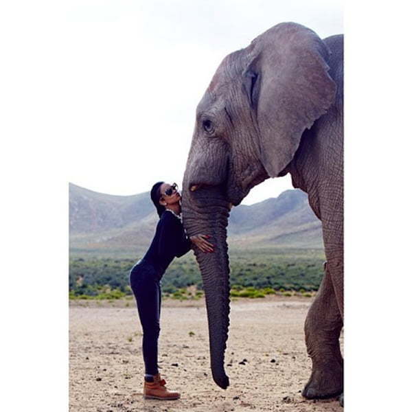 Rihanna and a Elephant