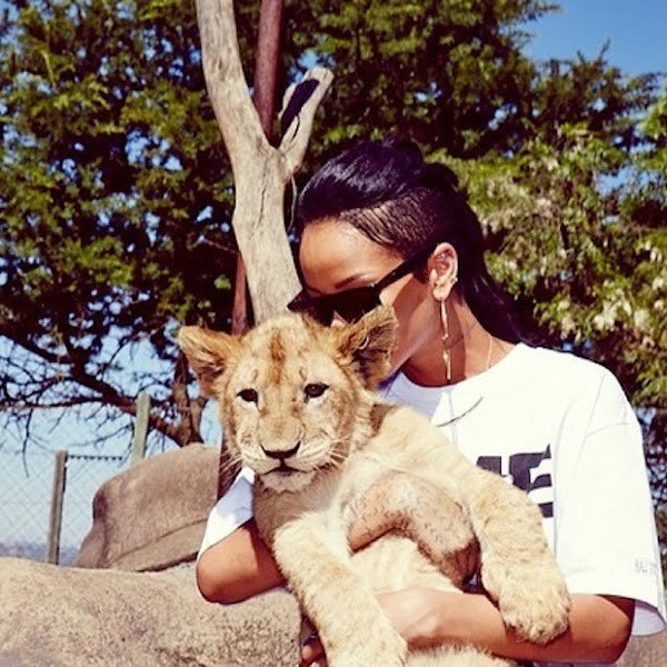 Rihanna and a lion