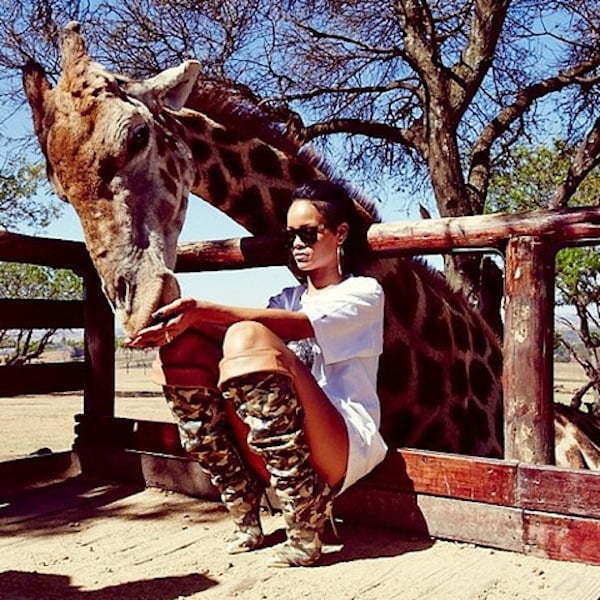 Rihanna and giraffe