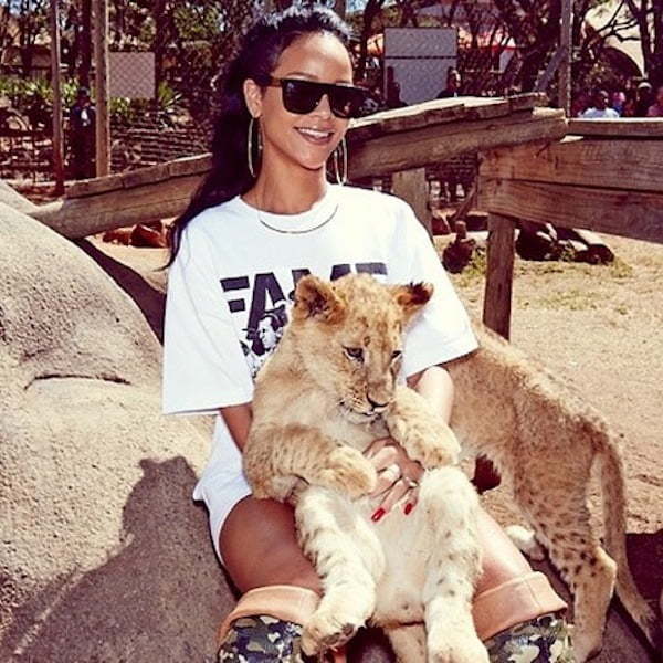 Rihanna play with lion