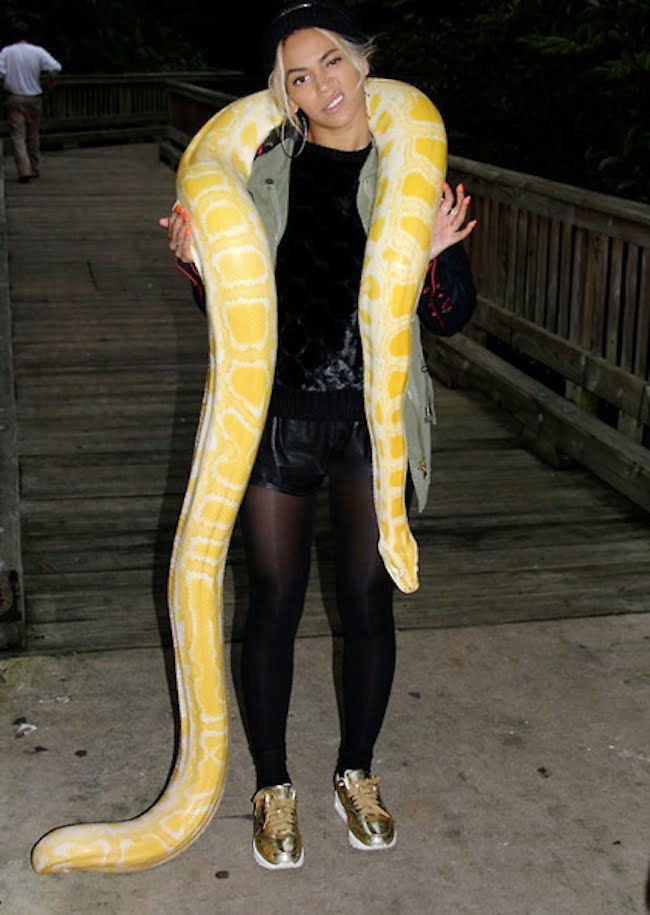 Beyonce and a snake