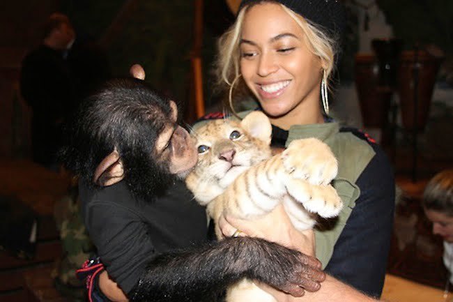 Beyonce with a monkey