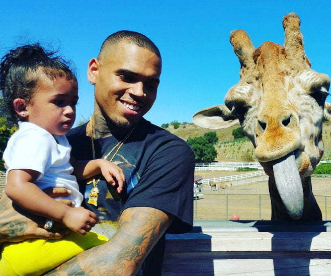 Chris Brown Royalty at the zoo