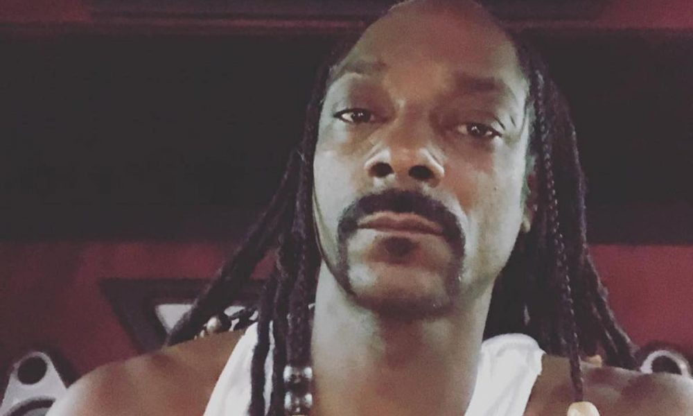 Snoop Dogg hairstyle