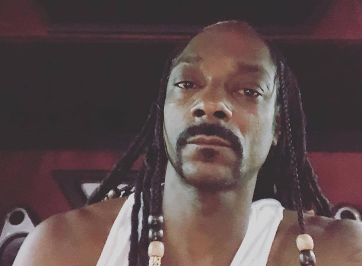 Snoop Dogg hairstyle