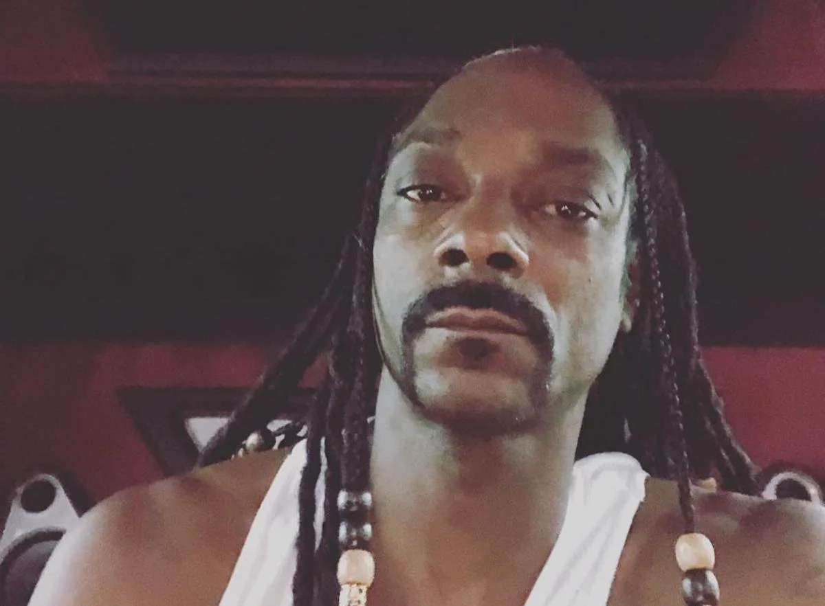 Snoop Dogg hairstyle