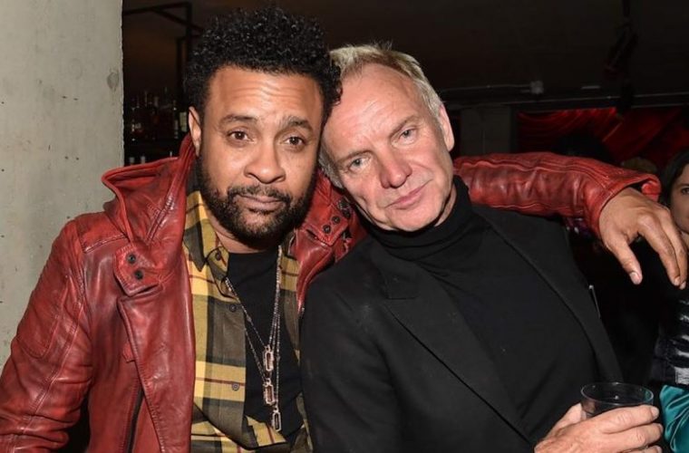 Shaggy and Sting