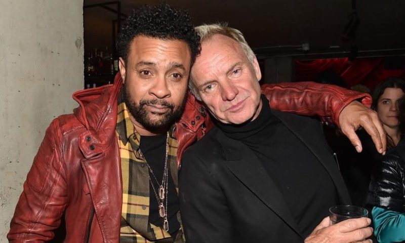 Shaggy and Sting