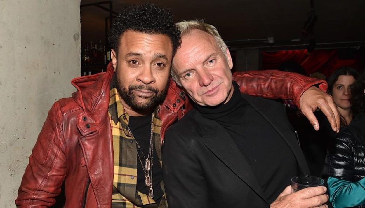 Shaggy and Sting