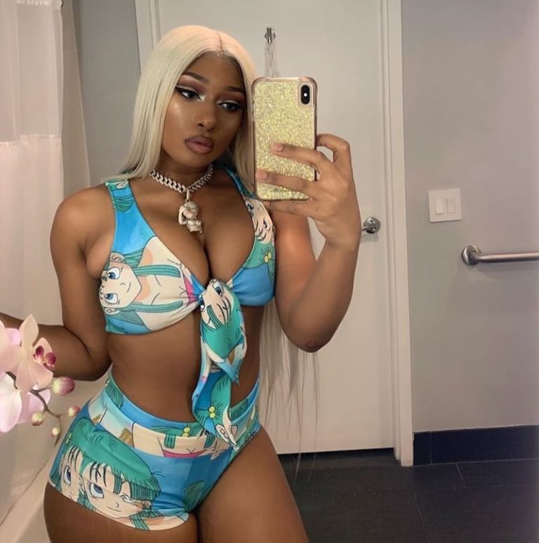 Megan Thee Stallion Flames Fan Who Questio