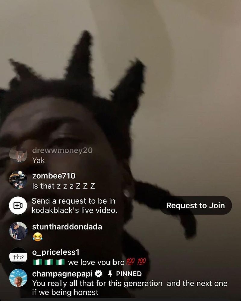 Kodak Ig