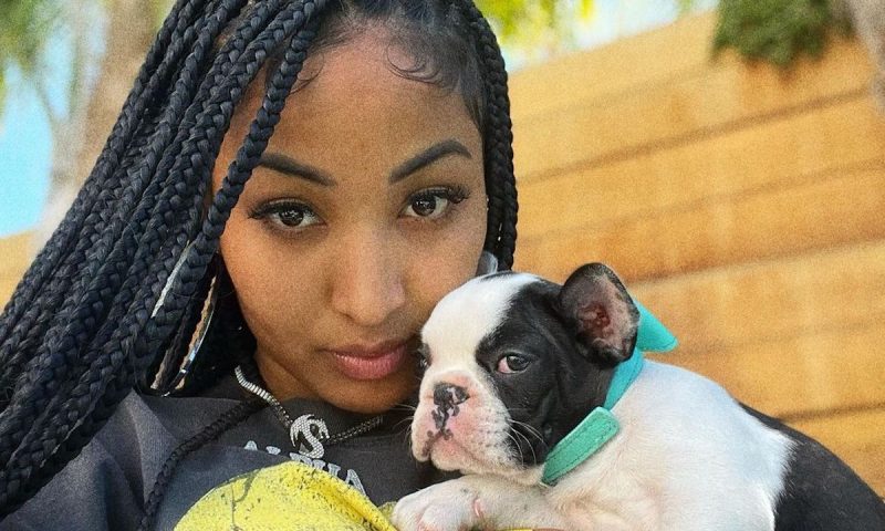 Shenseea dog